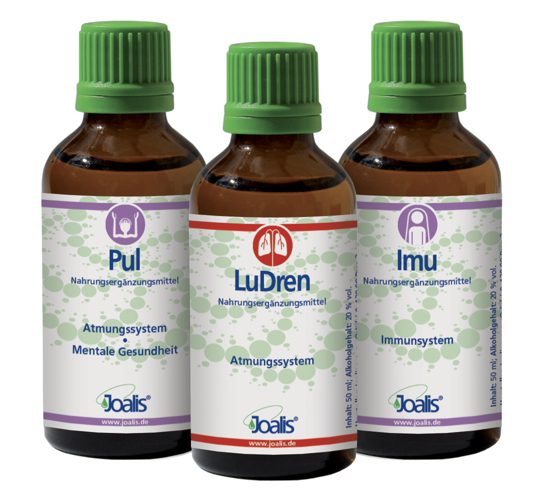 Immunsystem Herbst-Winter