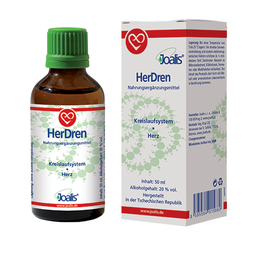 HerDren