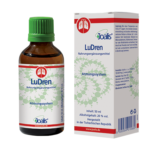 LuDren