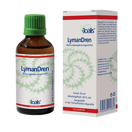 LymanDren