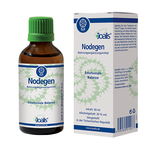 NoDegen-MONEY